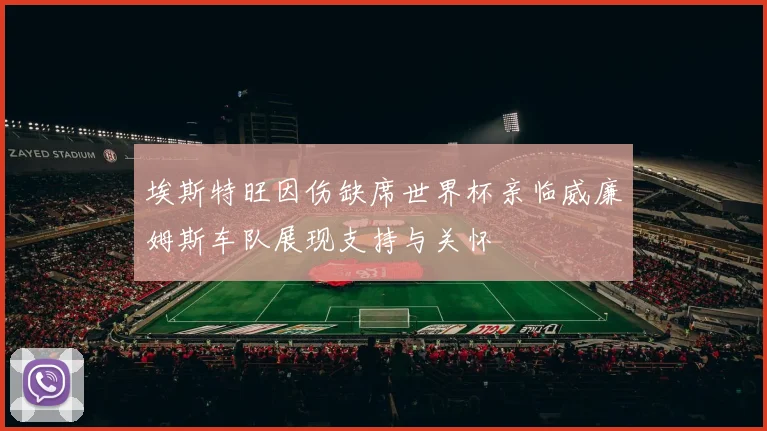 埃斯特旺因伤缺席世界杯亲临威廉姆斯车队展现支持与关怀